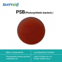 bacterias fotosintéticas