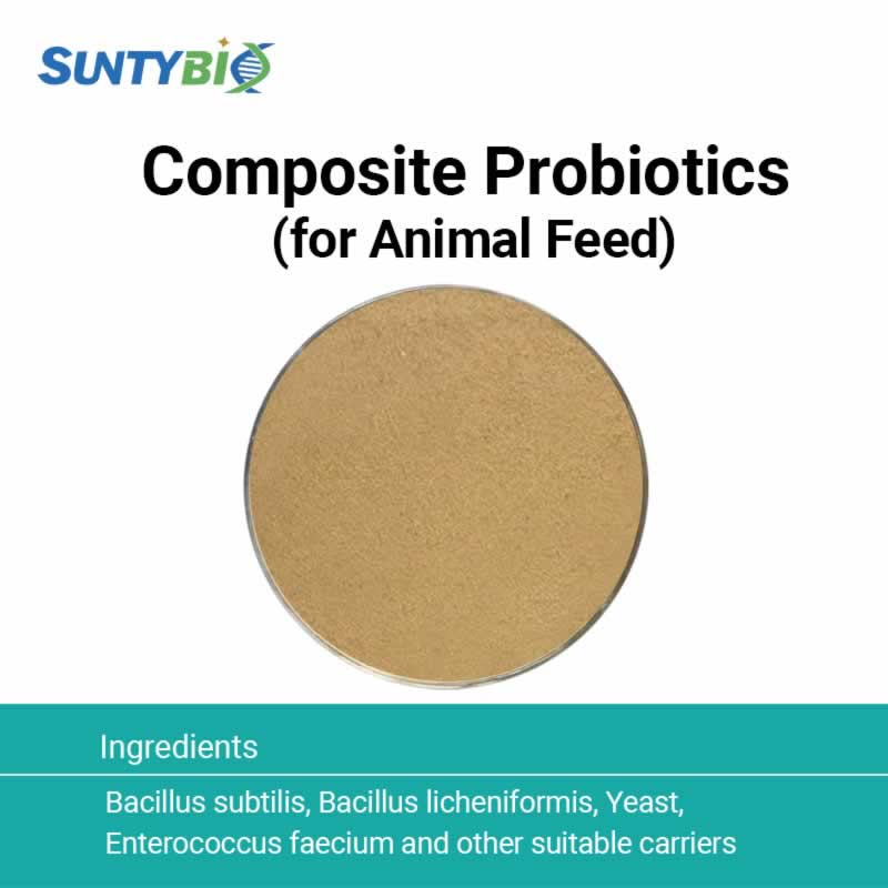 Compound Bacteria for Animal Feed